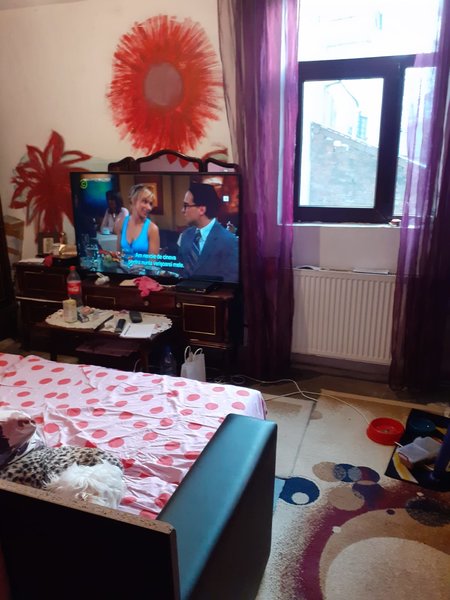 Iancului, Agricultori,